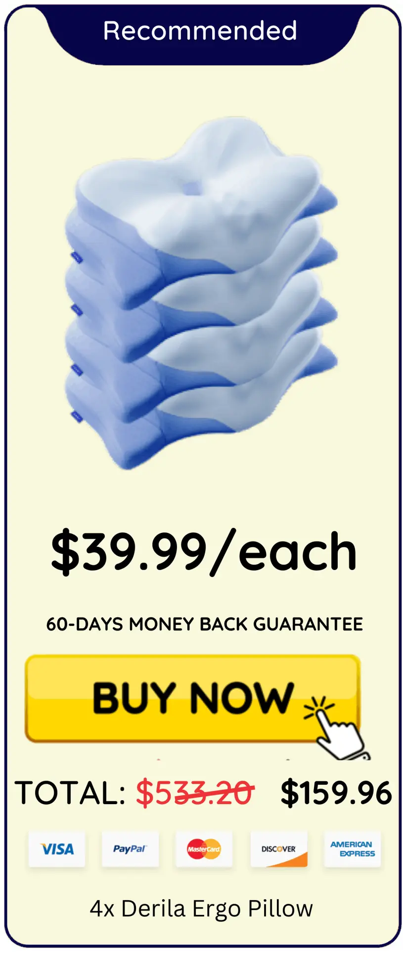 Derila Ergo Pillow 6 bottles